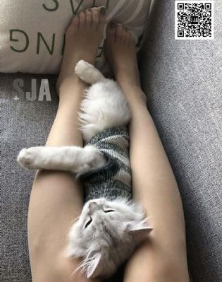 亚洲国产日韩久久一线_1080P在线视频播放