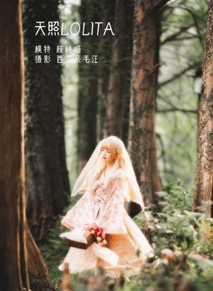 九九免费视频这里只有精品_1080P神马在线观看